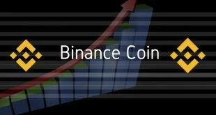 binance coin