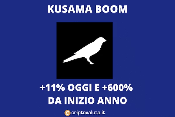 Kusama Cresce: +600% in un anno