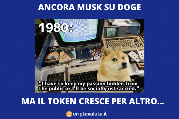 Elon Musk nuovo tweet su Dogecoin: "Tengo segrete..." - Criptovaluta.it