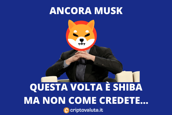 Shiba Token - il tweet di Musk