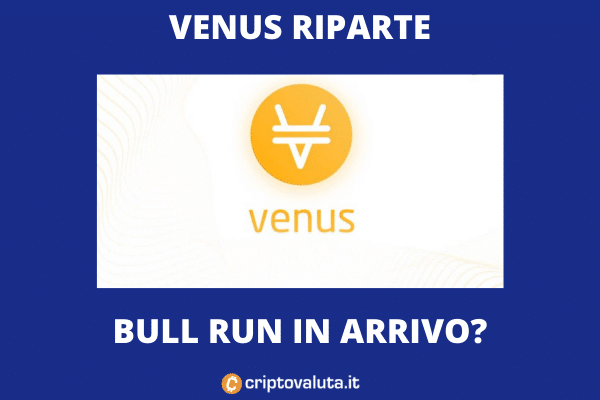 Crescita Venus - analisi di Criptovaluta.it