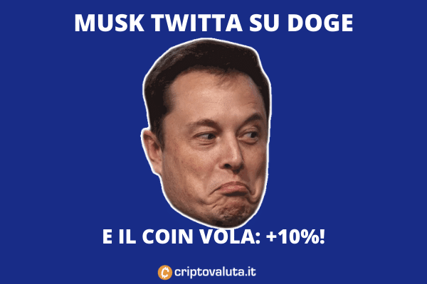 Musk tweet su Doge - +10%