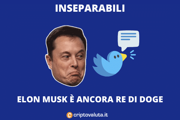 Doge - Elon Musk fa da Market Mover