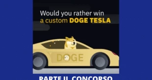 Binance e Tesla - Concorso