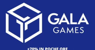 GALA VOLA 70%