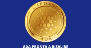 Cardano recap della fondazione