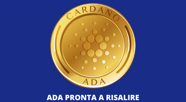 Cardano recap della fondazione