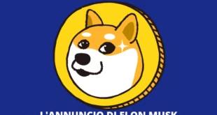 Tesla ELON MUSK DOGE