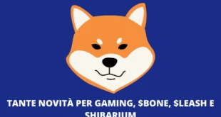 SHIB AMA