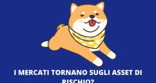 Shiba Inu Coin Rischio