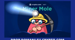 MINERS MOLE VVS