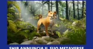 Shiberse in arrivo