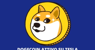 Tesla ed Elon Musk su Doge