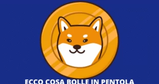 Shiba Inu Coin - cosa è stato annunciato