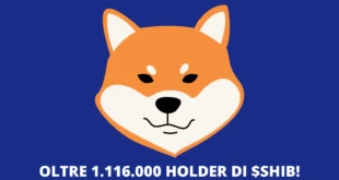 Shiba Inu Coin record