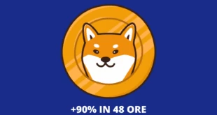 Shiba Inu Coin - analisi boom