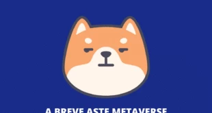 Shiba Inu Coin metaverse