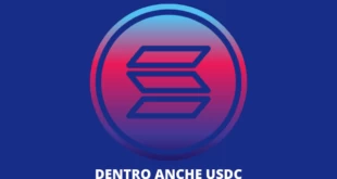 USDC dentro Solana Pay