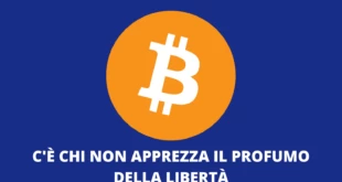 BItcoin grillo lol