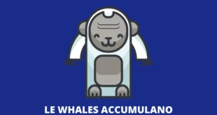 APE whales