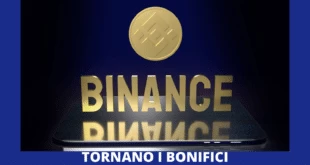 SEPA BINANCE