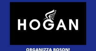 Hogan Boson tommy