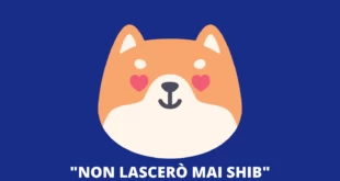 Shytoshi su SHIB