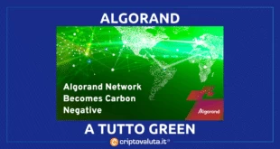 Algorand contro Bitcoin