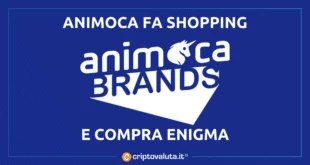 Animoca investe in Enigma