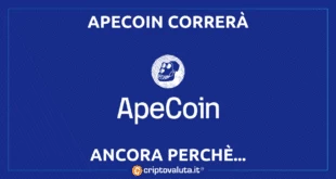 Ancora Apecoin