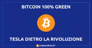 TESLA green bitcoin