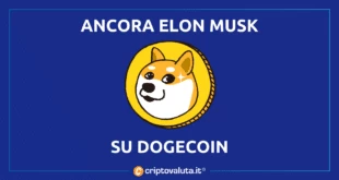 Elon Musk, dogecoin e Twitter