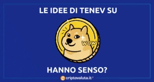 tenev dogecoin