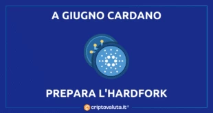 Cardano Vasil online