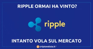 Ripple bull run