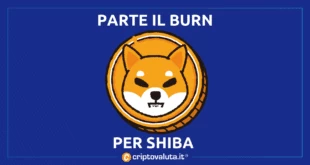 Shiba lancia burn