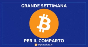 Bitcoin analisi week