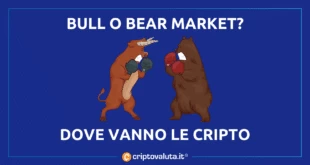 Bull Bear Market Cripto