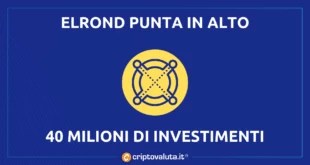 Elrond porta a casa 40 milioni