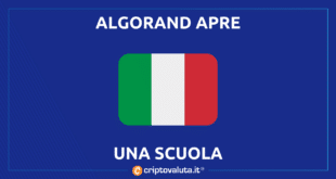 Algorand italia scuola