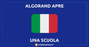 Algorand italia scuola