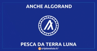 NFT ALGORAND DA TERRA LUNA