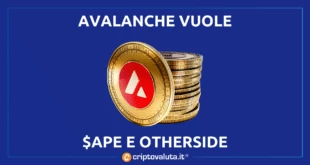 avalanche attacca bayc