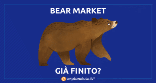 Cathie wood analisi bear market