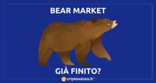 Cathie wood analisi bear market