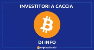 BItcoin ricerche