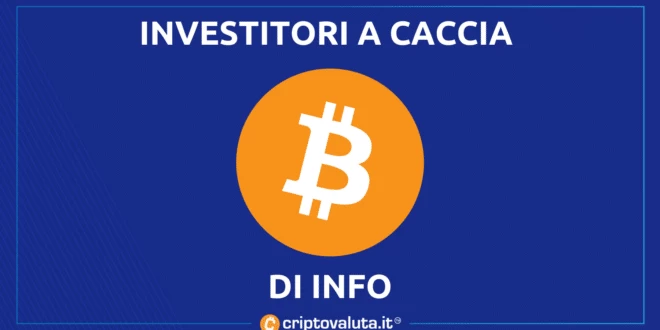 BItcoin ricerche