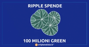 Sforzo Green per Ripple