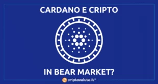 Cardano cripto bear