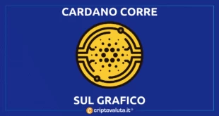 CARDANO BULL RUN